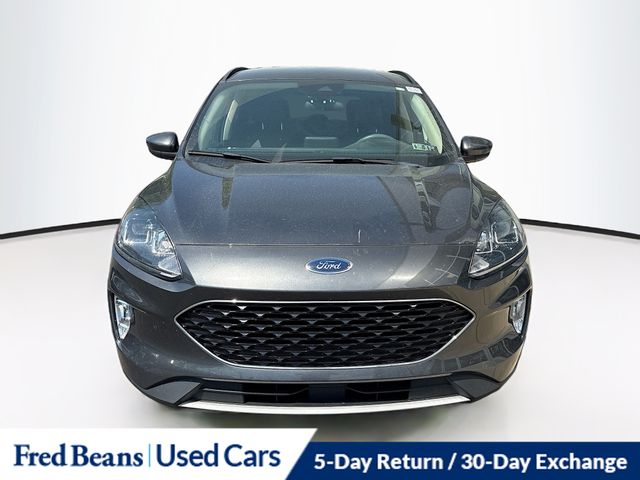 2020 Ford Escape SEL AWD's photo