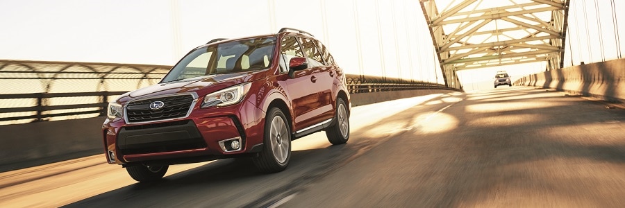 Fred Beans Subaru >> Subaru Forester Dimensions Doylestown Pa Fred Beans Subaru Fred Beans Subaru >> Subaru Forester Dimensions Doylestown Pa Fred Beans Subaru