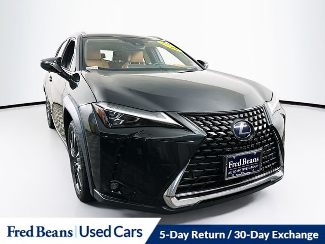 2019 Lexus UX 300h 250h AWD's photo