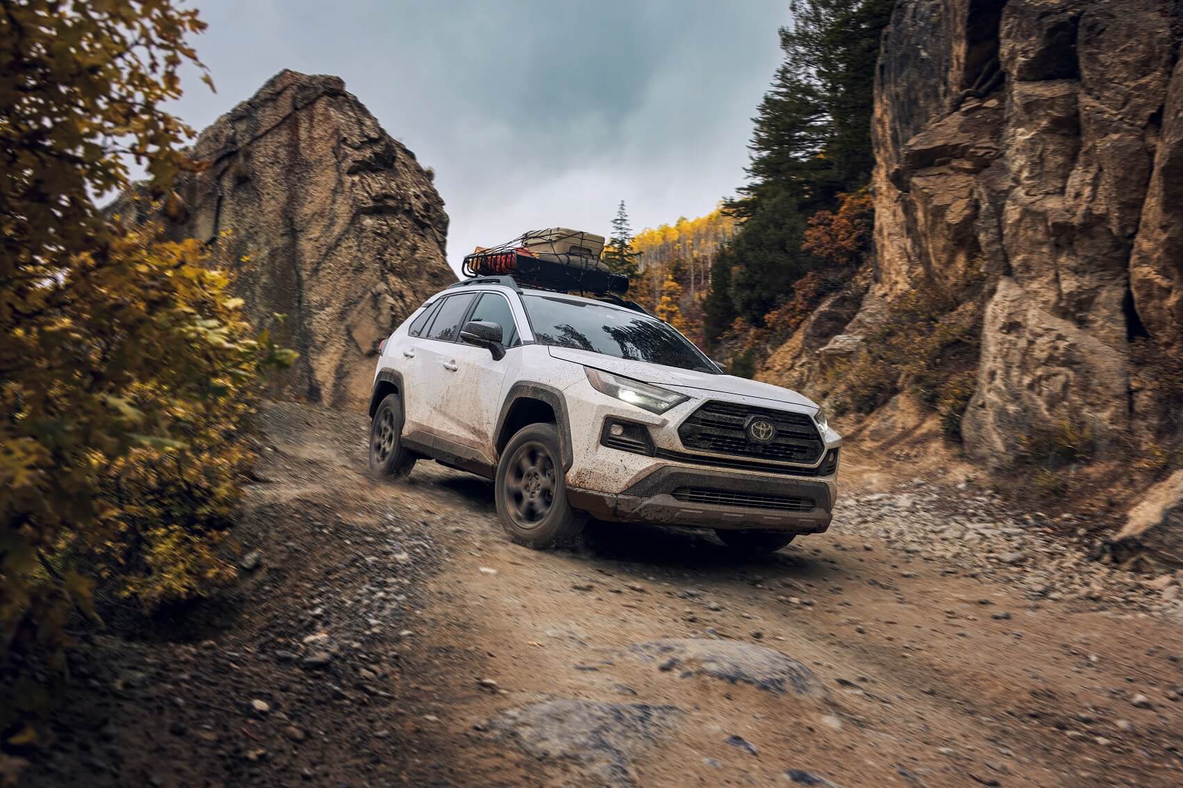 Toyota Dealer near Princeton NJ Fred Beans Toyota