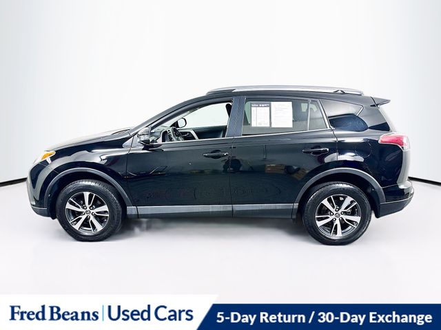 2018 Toyota RAV4 XLE photo 4