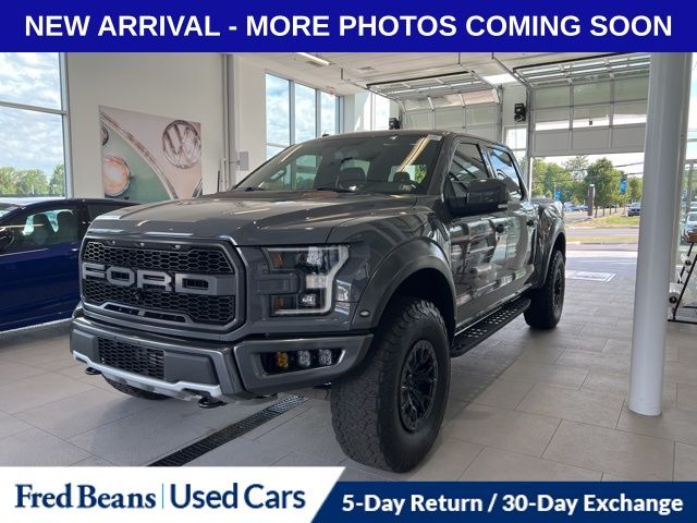 2018 Ford F-150 Raptor photo 2