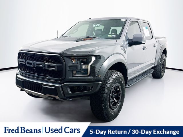 2018 Ford F-150 Raptor photo 3