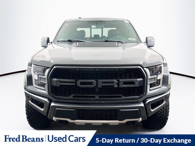 2018 Ford F-150 Raptor photo 2