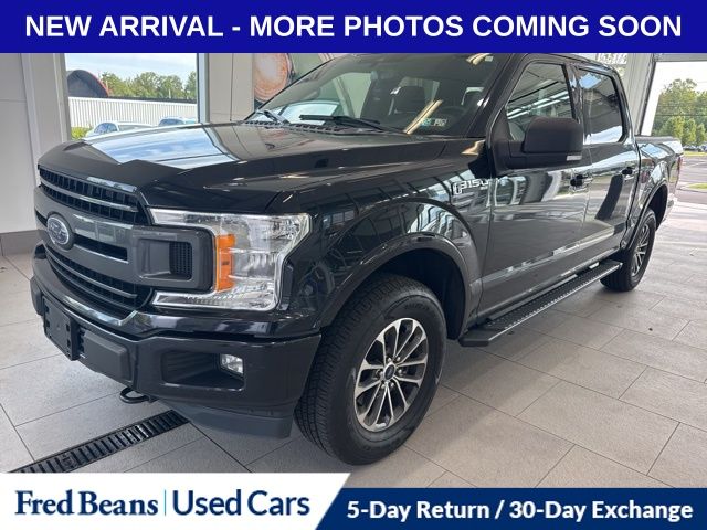2019 Ford F-150 XLT photo 3