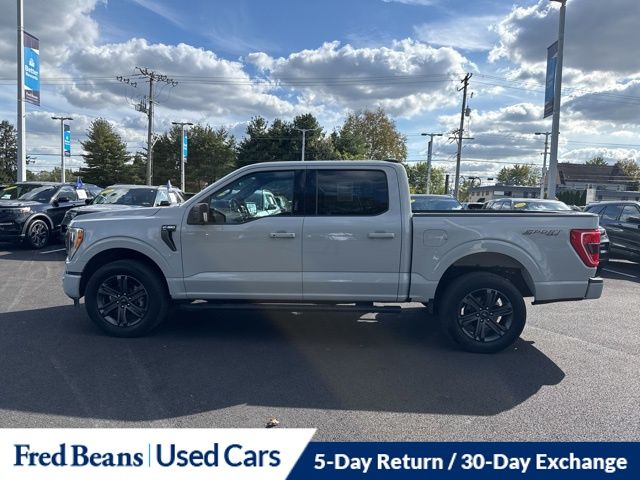 2023 Ford F-150 XLT photo 4