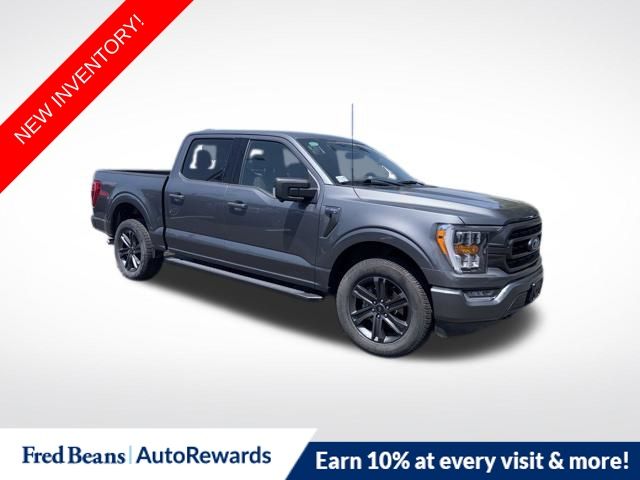2023 Ford F-150 XLT 4x4 SuperCrew 5-1/2 Box's photo