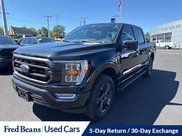 2023 Ford F-150 XLT photo 3