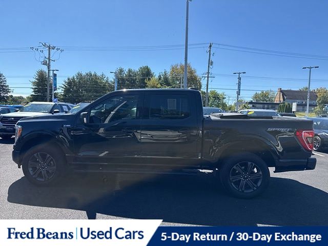 2023 Ford F-150 XLT photo 4