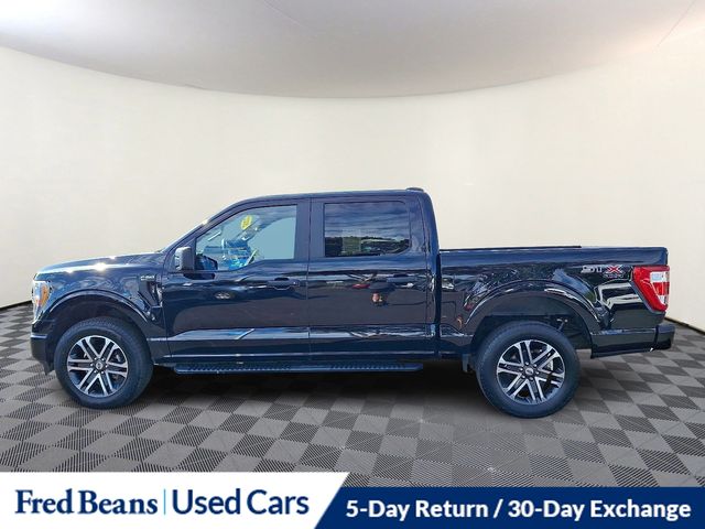 2022 Ford F-150 XL photo 4