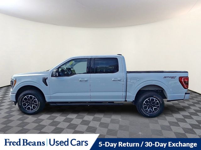 2023 Ford F-150 XLT photo 3