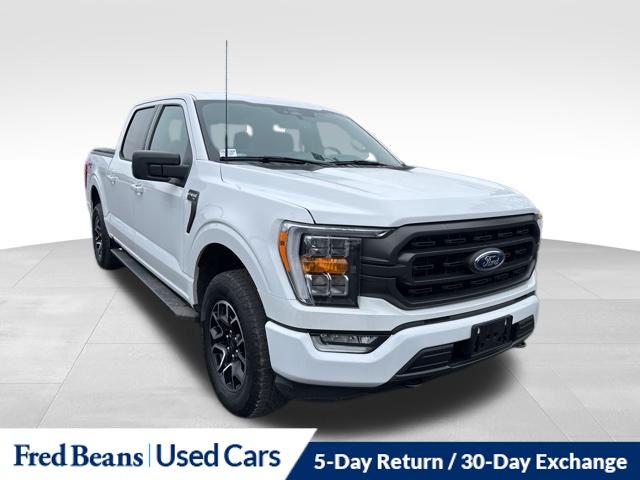 2022 Ford F-150 XLT's photo