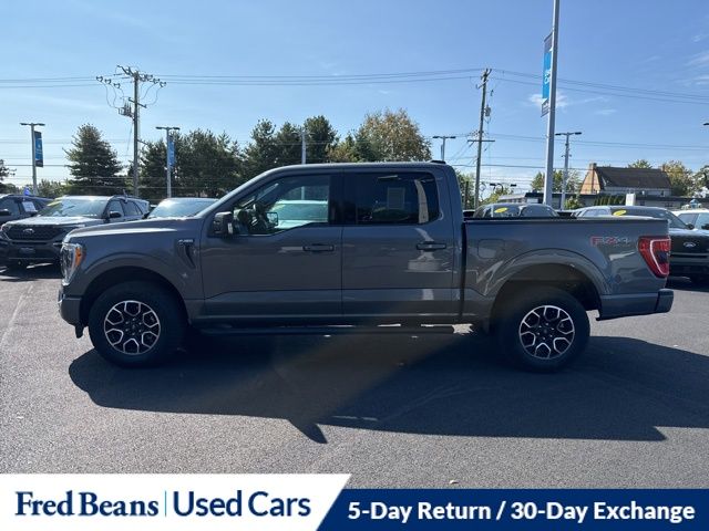 2023 Ford F-150 XLT photo 4