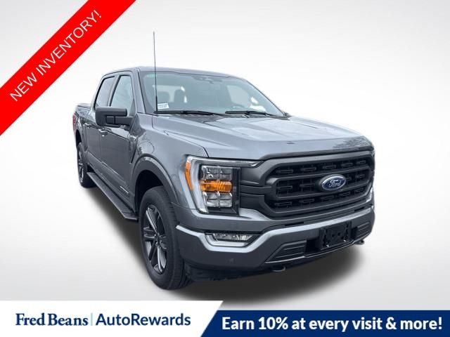 2023 Ford F-150 XLT's photo