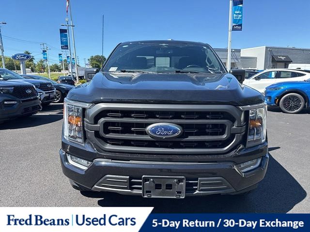 2023 Ford F-150 XLT photo 2