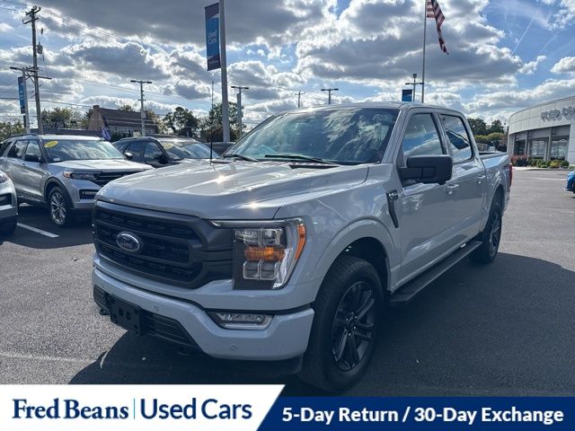 2023 Ford F-150 XLT photo 3