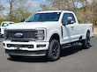 Ford Super Duty F-250 SRW