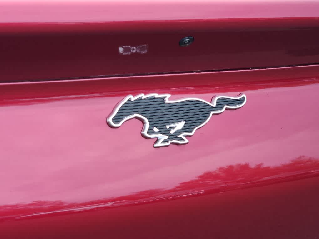 2025 Ford Mustang Mach-E Premium - Photo 18