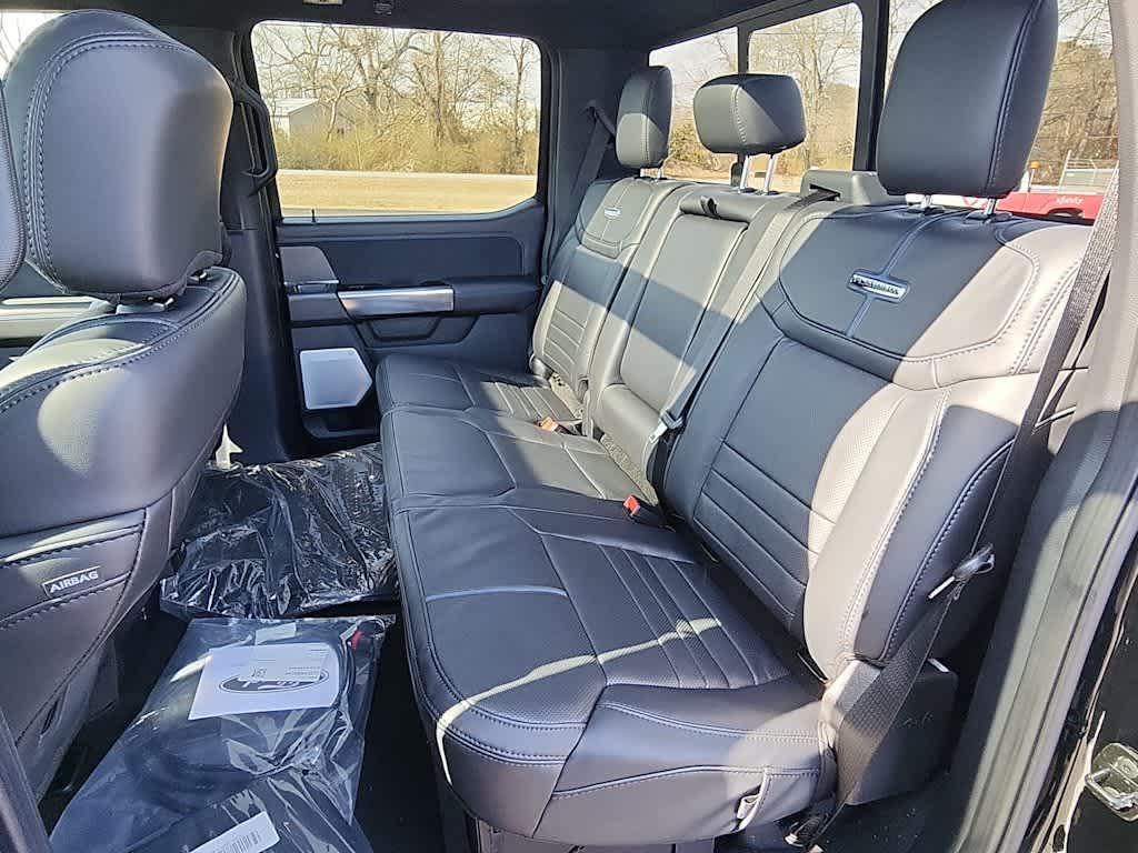 2025 Ford F-250 Super Duty Platinum - Photo 15