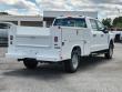 2025 Ford Super Duty F-250 SRW F-250 XL