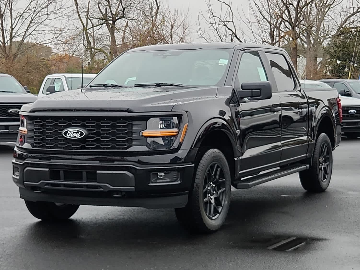 2025 Ford F-150 STX's photo