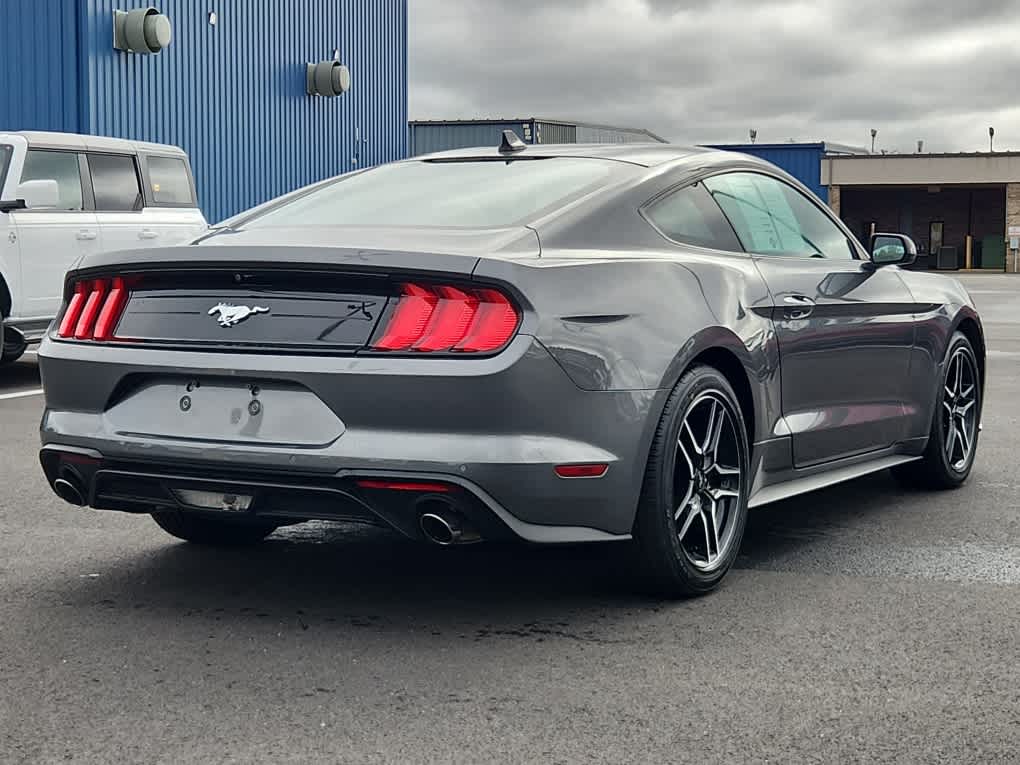 2021 Ford Mustang EcoBoost photo 3