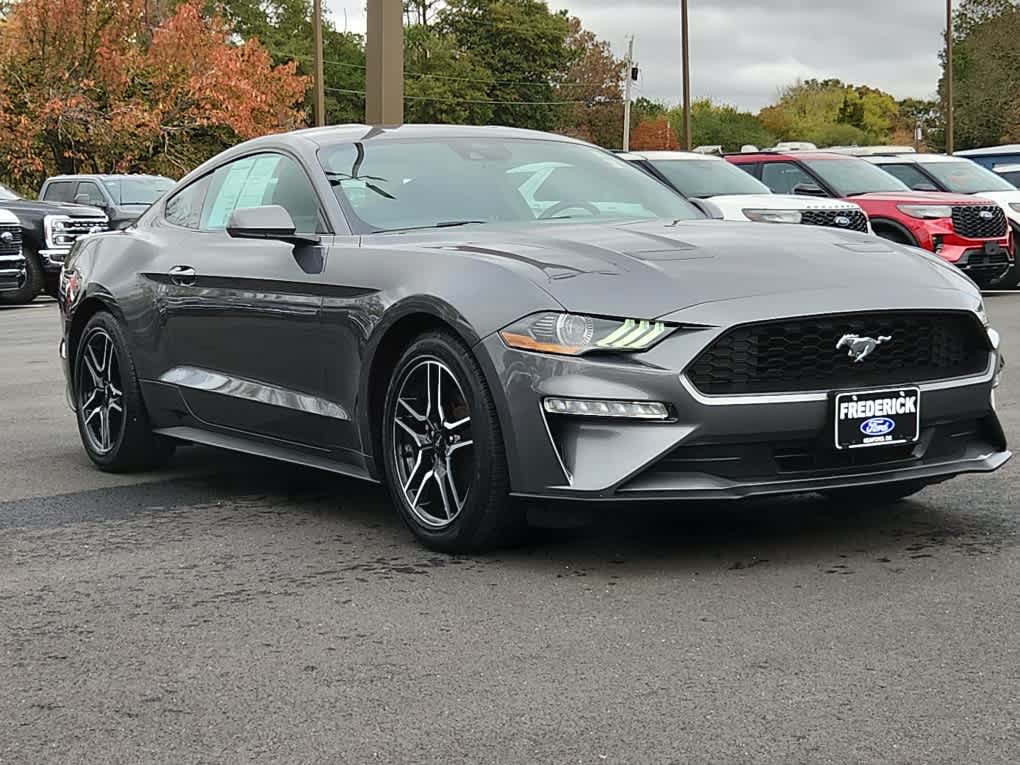 2021 Ford Mustang EcoBoost photo 2