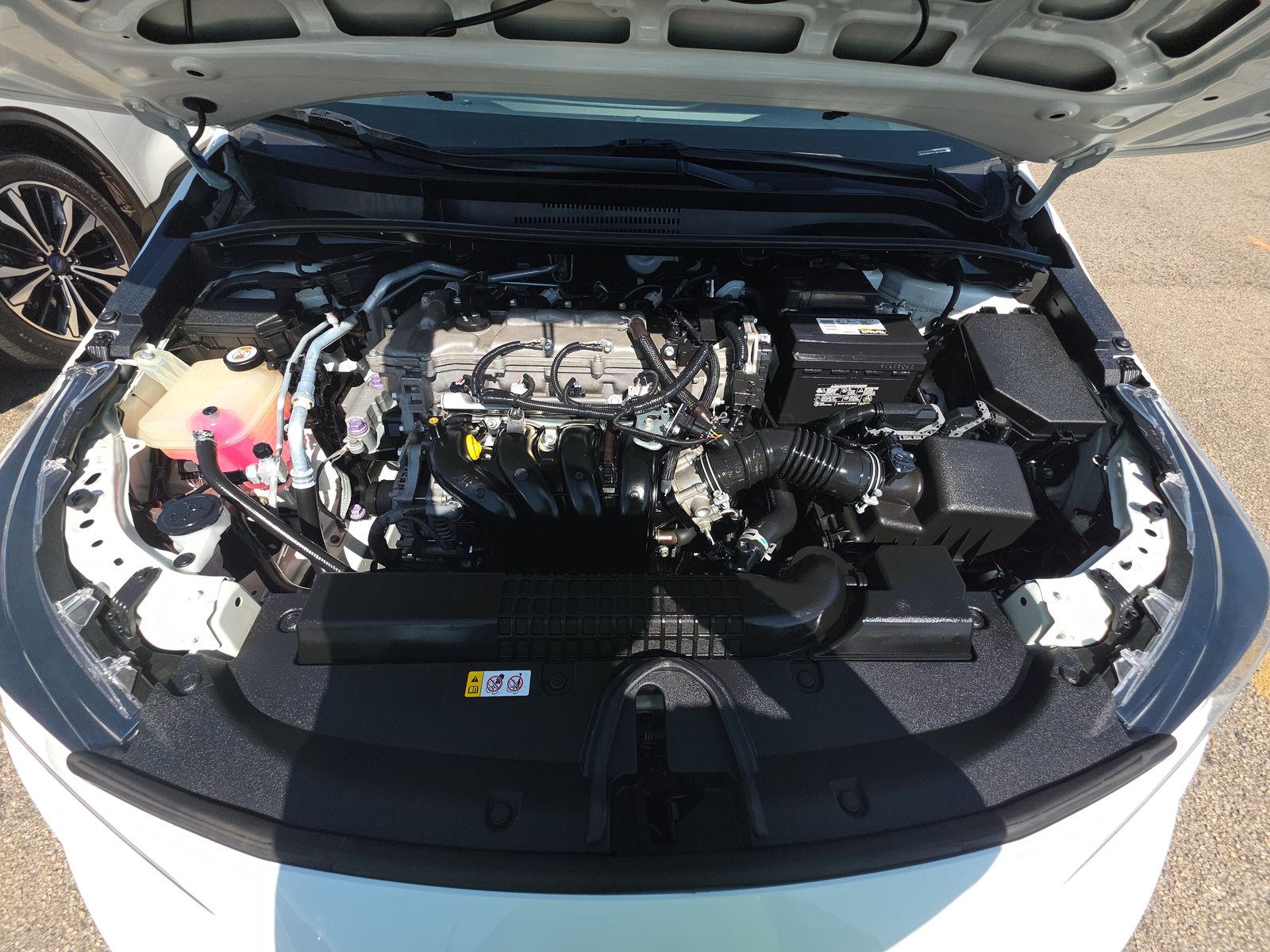 2020 Toyota Corolla LE photo 3