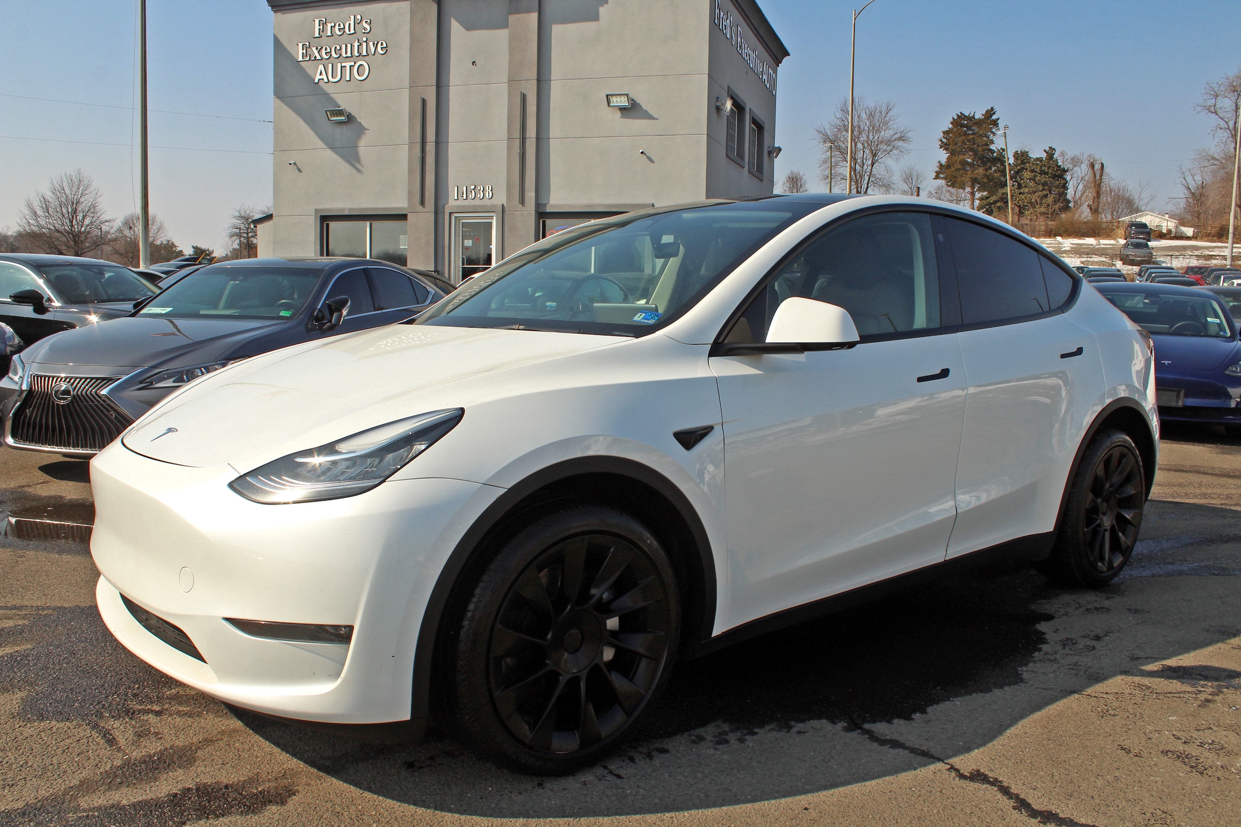 2023 Tesla Model Y Long Range Dual Motor All-Wheel Drive's photo