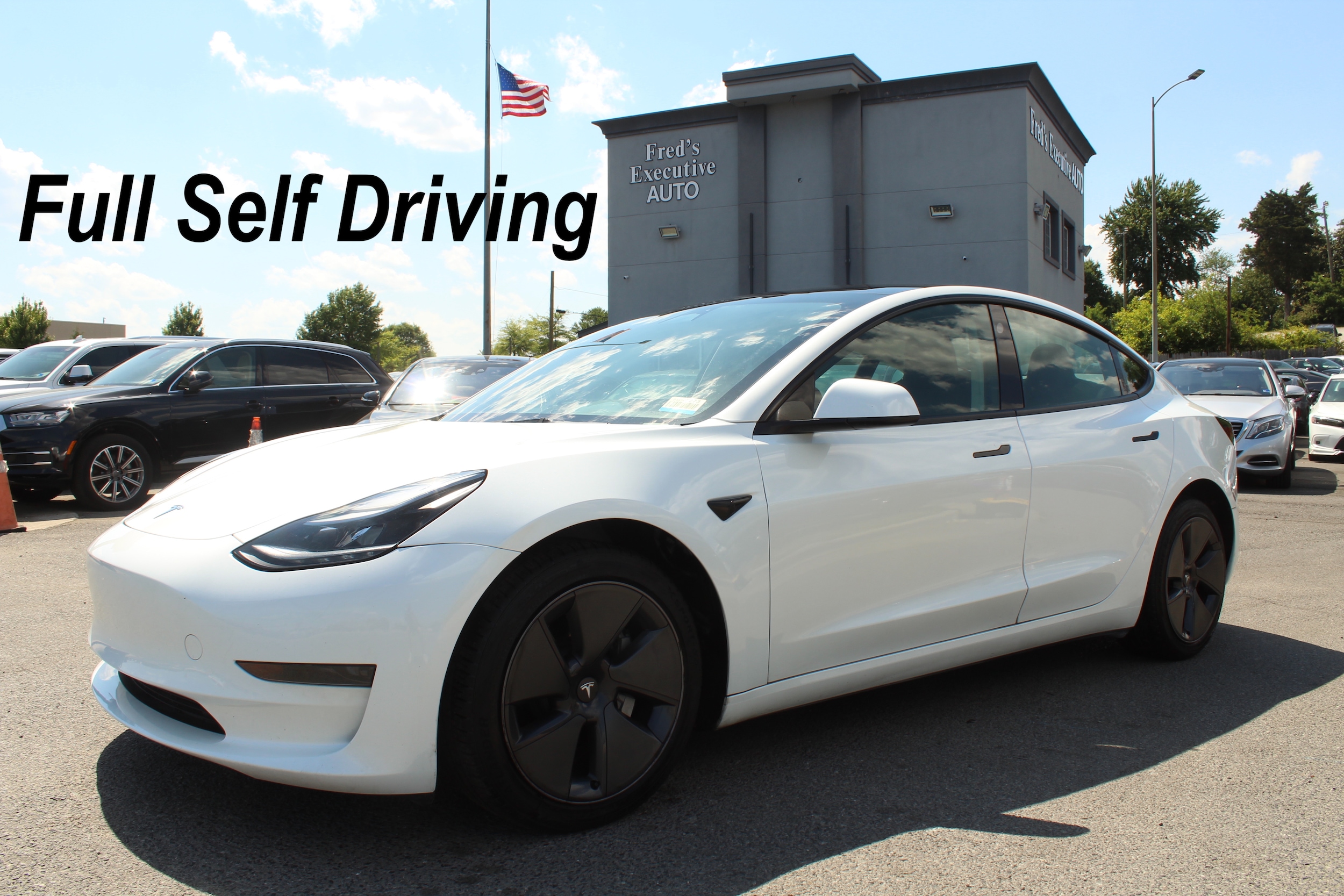 2023 Tesla Model 3 -'s photo