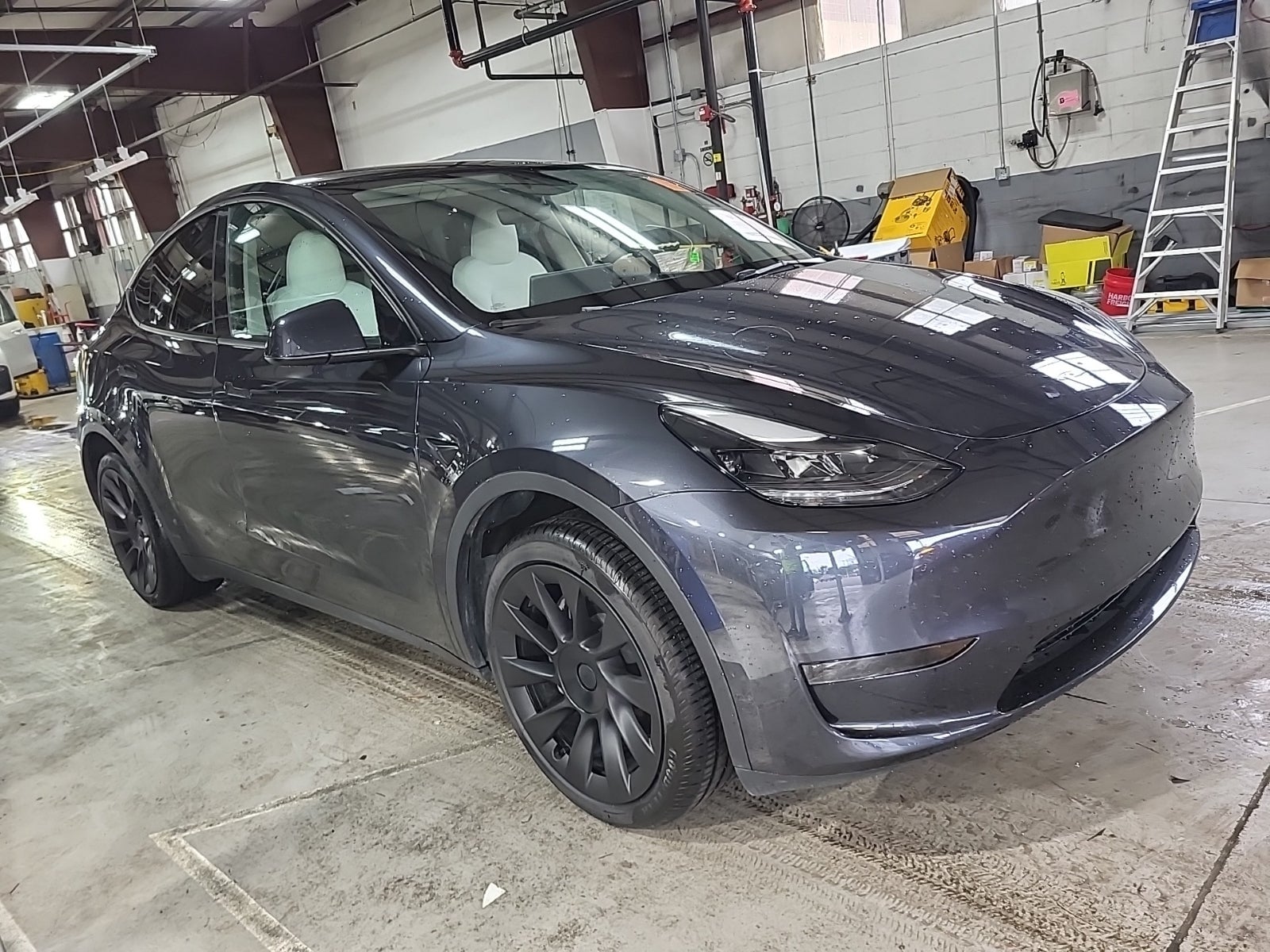 2024 Tesla Model Y Long Range Rear Wheel Drive's photo
