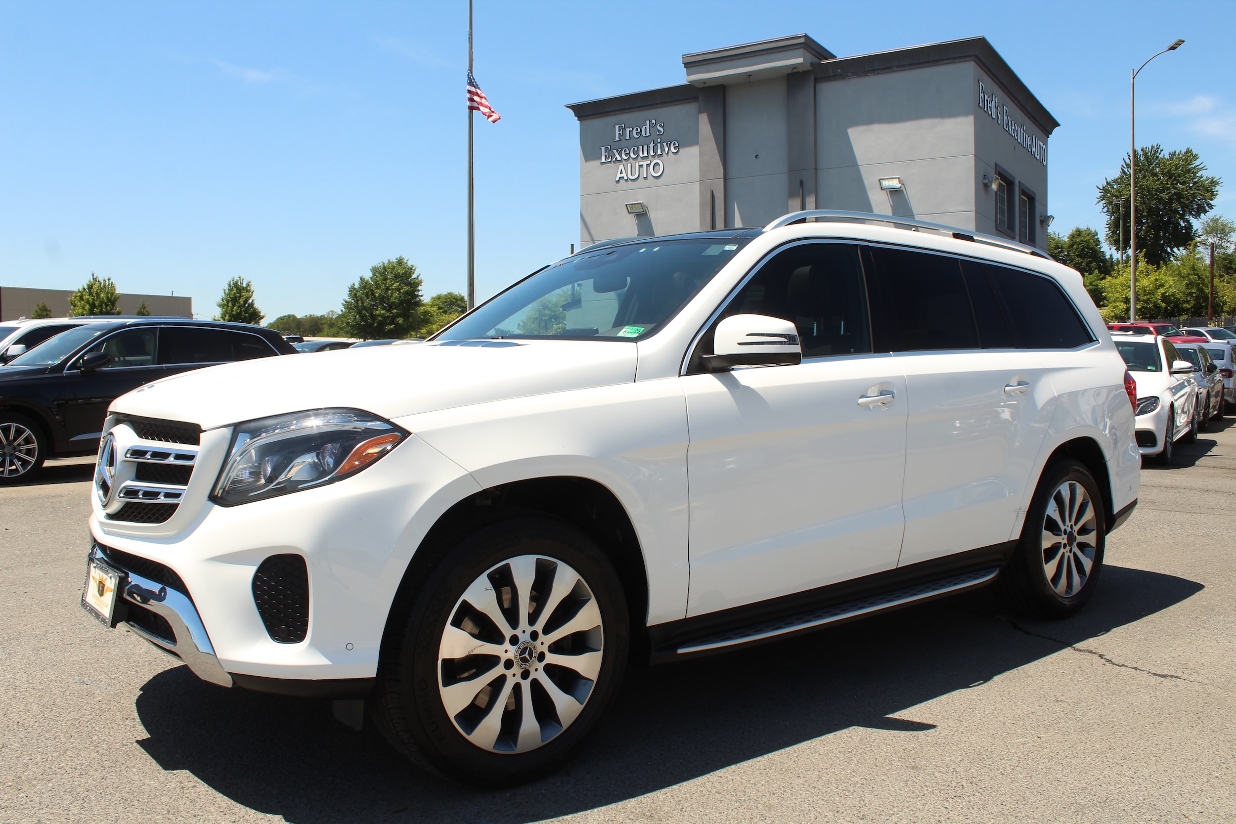 2019 Mercedes-Benz GLS GLS450's photo