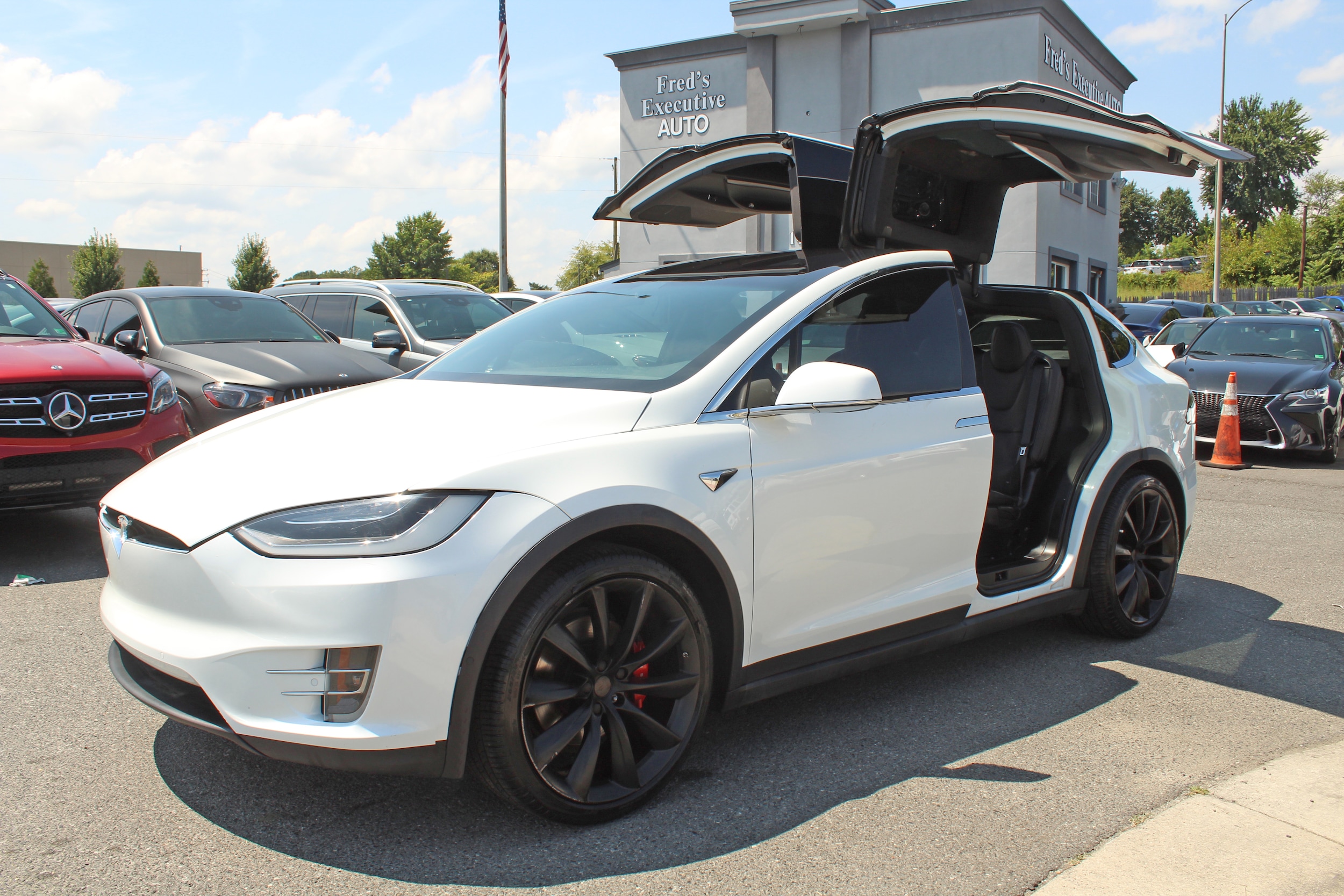 2018 Tesla Model X P100D's photo