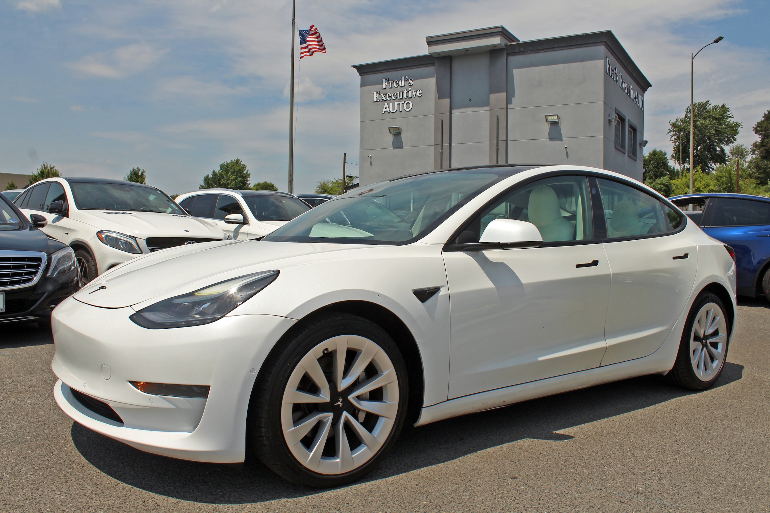 2022 Tesla Model 3 Standard Range Plus's photo