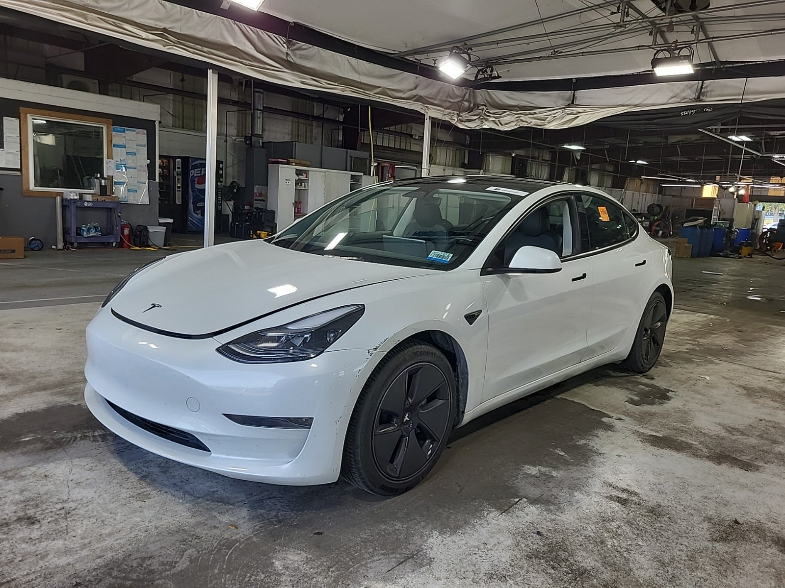 2023 Tesla Model 3 -'s photo