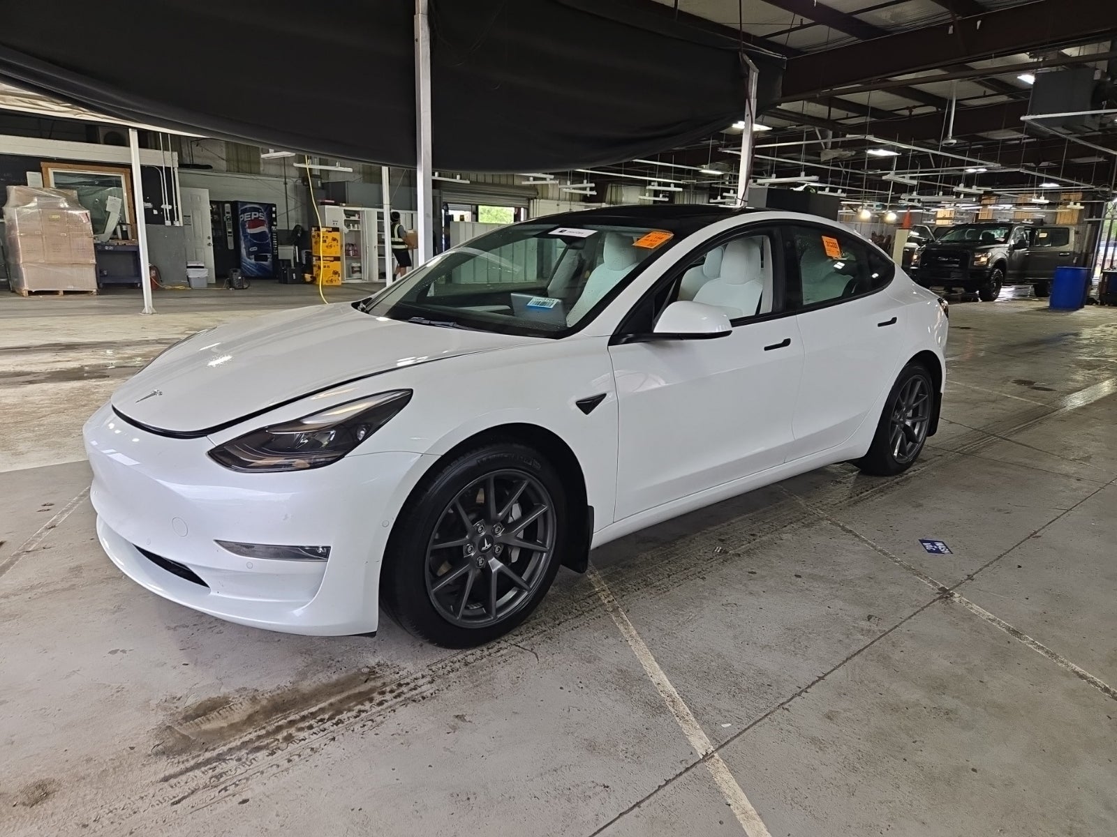2022 Tesla Model 3 Long Range Dual Motor All-Wheel Drive's photo