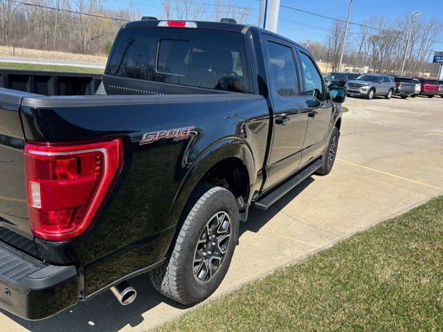 2023 Ford F-150 XLT photo 4