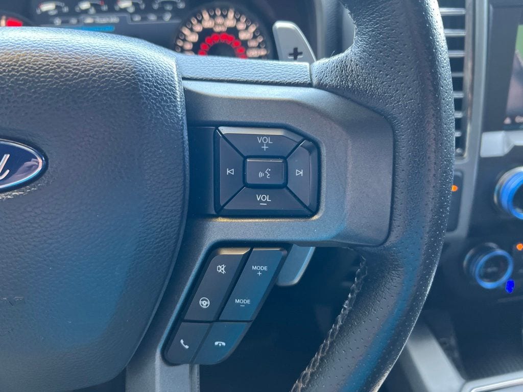 2019 Ford F-150 Raptor - Photo 11