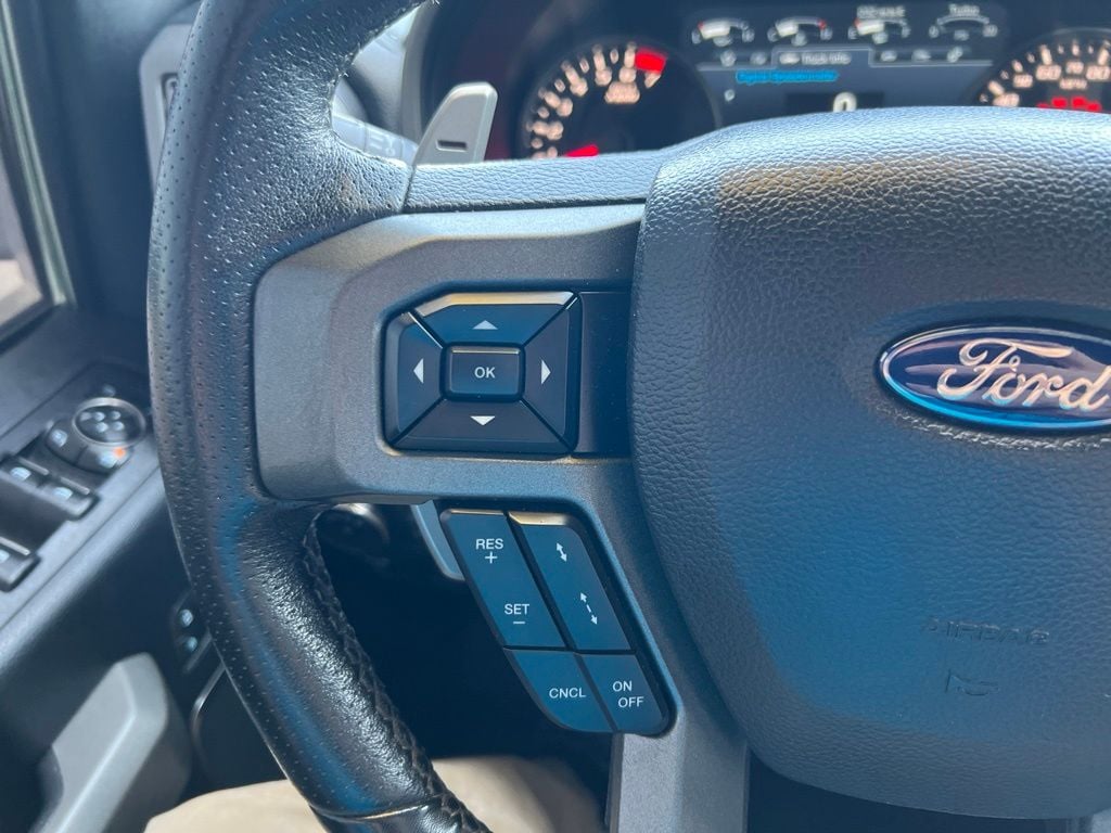 2019 Ford F-150 Raptor - Photo 10