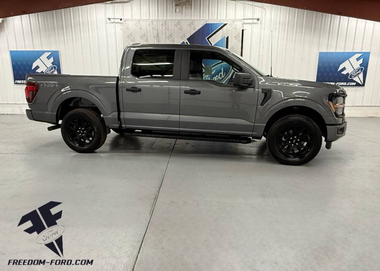 2025 Ford F-150 STX's photo