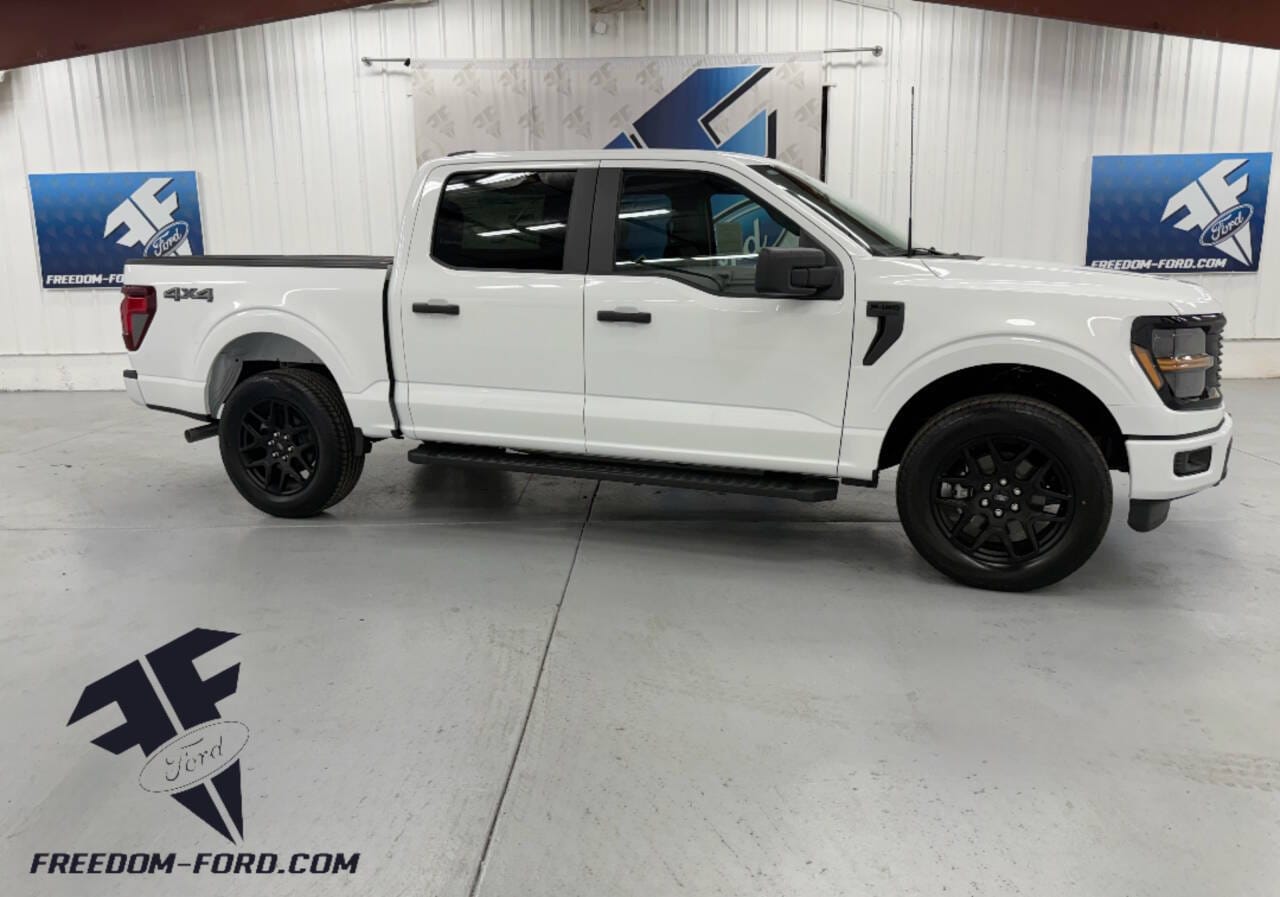 2025 Ford F-150 STX's photo