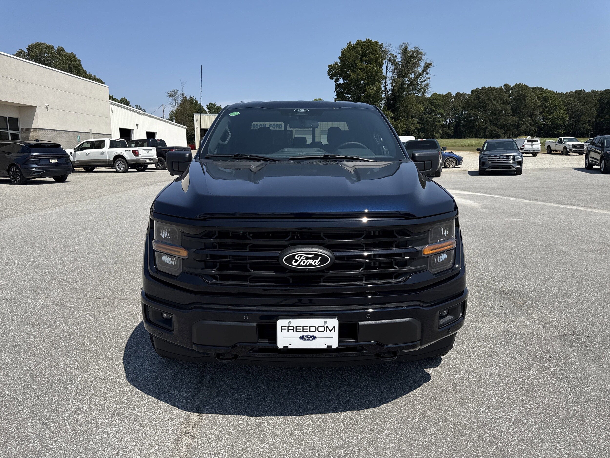 2025 Ford F-150 XLT photo 3