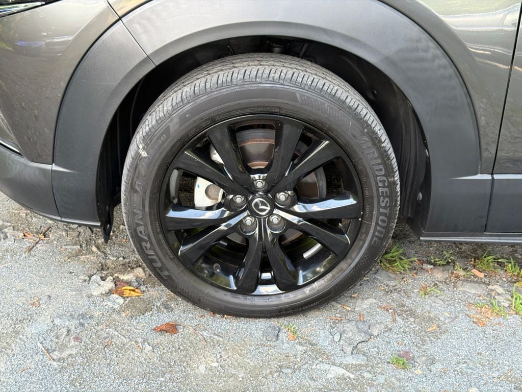 Photo 5