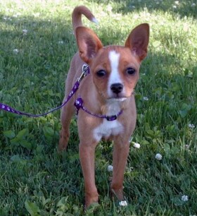 Staff member Cookie Celik from ID_a64bea