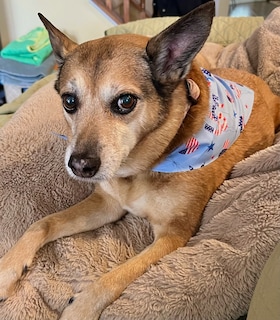 Staff member Roxie Smiles from ID_a64bea