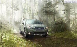 Subaru Outback Cargo Space | Freehold Subaru NJ