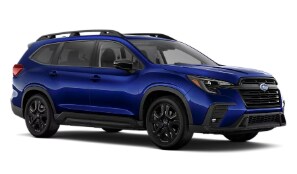 Blue 2026 Ascent Onyx Edition Touring.
