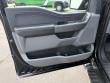 2025 Ford F-150 XLT Truck