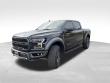 2019 Ford F-150 Raptor Truck
