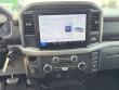 2025 Ford F-150 XLT Truck